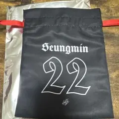 Straykids スキズ VR 巾着 ランダム　スンミン