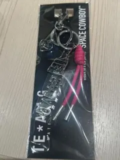 岩田剛典SPACE COWBOY TEAM Gバッグチヤーム