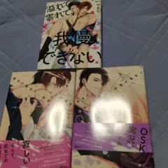 BL3冊セット　バラ売り不可