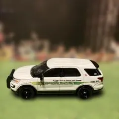 グリーンライト 2017 フォード　インターセプター　ユーティリティー