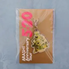 【新品未開封】ARASHI 5×20 会場限定 チャーム 緑 第2弾