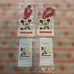 40周年 パスケース ディズニー メモリーゴーラウンド ラゲッジタグ 2点 