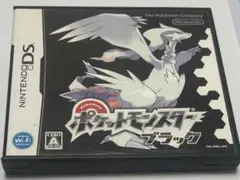 ds ポケットモンスター ブラック