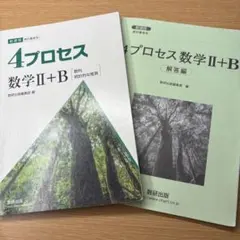 4プロセス 数学II+B 解答解説付き