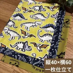 【翌日発送可‪ 】②ランチョンマット40×60 3枚セット 恐竜 ハンドメイド