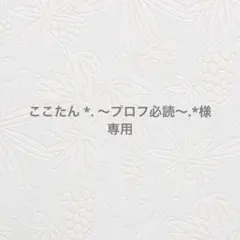 ここたん *. 〜プロフ必読〜.*様専用