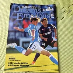 サンフレッチェ広島 スキッベ監督 サイン色紙 - メルカリ