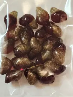 8201 ベネチアンビーズ ポテト ロッソ 20個