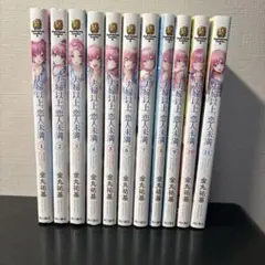 夫婦以上、恋人未満。全11巻セット