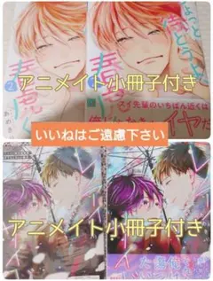 初版 特典 1巻 百瀬アキラの初恋破綻中。 アニメイト リーフレット