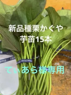 2026年最新】栗かぐやの人気アイテム - メルカリ