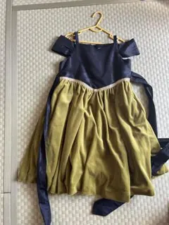 アナと雪の女王　アナのドレス