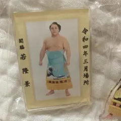 大相撲優勝額 ミニチュア版  貴花田 貴ノ花 貴乃花光司関 優勝ミニ額 大相撲ミニ額 大相撲優勝額 平成6年11月