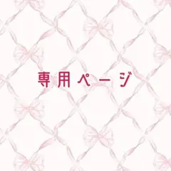 ※ 専用ページ