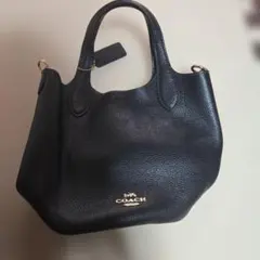 極美品】COACH 2way ハンドバッグ ハドリー ホーボー 21 黒 - メルカリ