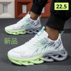 Item thumbnail for item f4482c84-3eb4-41d7-8a05-155c2fda6fae