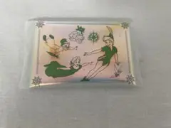 ディズニー 1番くじ Wishing Stars H賞 マルチケース