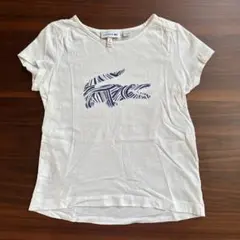 【美品】LACOSTE Tシャツ（116）のサムネイル