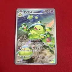 ar ランクルス　さのサムネイル