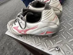 Item thumbnail for item 8881d874-5331-4be6-818e-d15f4ec5a3c9