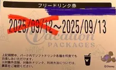 ディズニーランド　フリードリンク券 2025/09/13