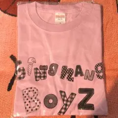 銀杏BOYZ Tシャツ tee logo ロゴ ネイビー L ケイスケカンダ - メルカリ