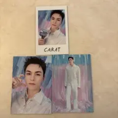 SEVENTEEN YAKUSOKU インスタントフォト トレカセット バーノン