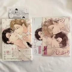 如月マナミ『よすがのひかり』12P小冊子付きとらのあな限定版