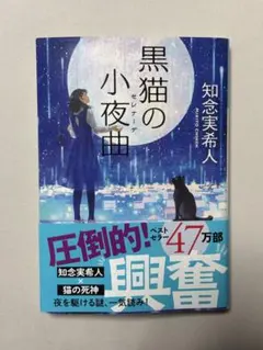 黒猫の小夜曲 知念実希人