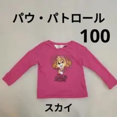 H&M パウ・パトロール スカイ 長袖Tシャツ ピンク 100