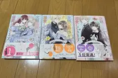次期公爵様がなぜか溺愛してきます 3巻セット