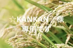 リピート割引令和7年愛知県産 あいちのかおり【精米20kg】送料込 お米