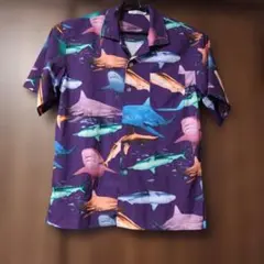 Item thumbnail for item 1c10d864-8647-48eb-a6a3-24c278e21328