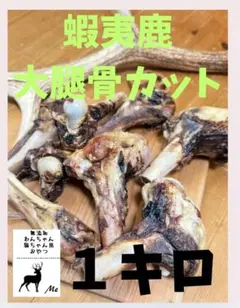 Item thumbnail for item 0027220b-3572-42c4-82d4-ffe3ad99c918