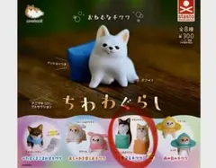 montomori ちわぐらし 見守るチワワ2個セット