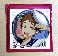 あんさんぶるスターズ! あんスタ スタライ 4th 缶バッジ 天満光
