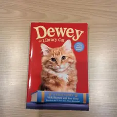 Dewey the Library Cat