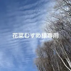 花菜むすめ様専用