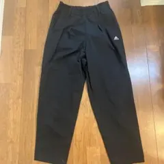 Item thumbnail for item 4919f1b3-5c7a-47f1-8632-7c73bb7342a1