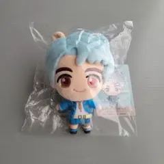 BTS　Tiny TAN　タイニータン　PTD　ぬいぐるみ　J-HOPE　ホビ