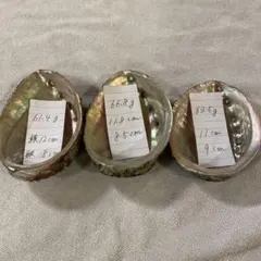 アワビ貝殻　3個　アバロンシェル　ハンドメイド　インテリア