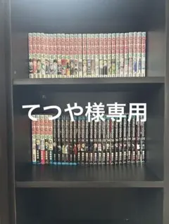 HUNTER×HUNTER 複数巻+WORLD TRIGGER 1巻〜22巻