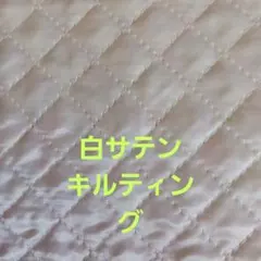 Item thumbnail for item 04050872-6f2a-44b8-9cc1-292296058282