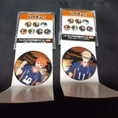 ハイキュー トレーディングメタル缶バッジ A 日向翔陽 月島蛍