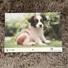 Item thumbnail for item ed11bcb1-577d-46c1-9263-49c5518a695c