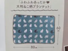【ねこのきもち】ふわふわブランケット　2026年3月号付録　新品・未開封