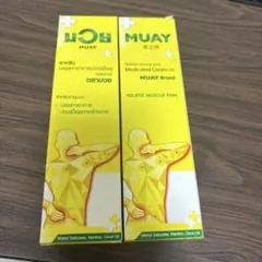 ムエタイクリーム MUAY 100g×2本セット　ボクシング　格闘技