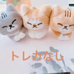 2026年最新】スンドリの人気アイテム - メルカリ