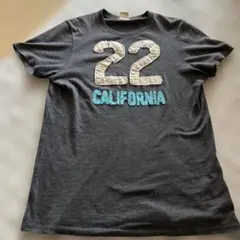 Hollister 22 CALIFORNIA Tシャツのサムネイル