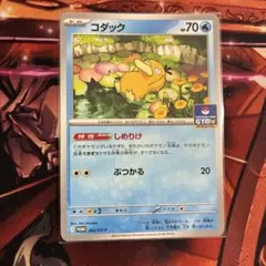 ［ゲリラ出品］コダック　ジムプロモ